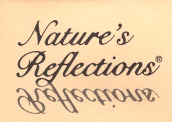 Nature's Reflections Limitied